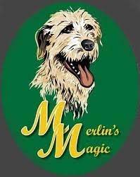 Merlins Magic