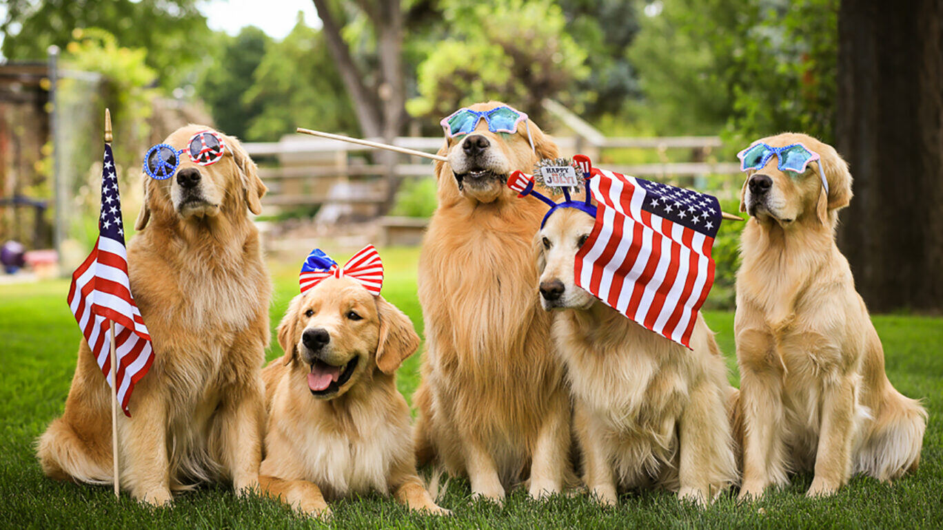 patriotic-dog-1-1368x770